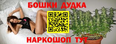 гашик Гатчина